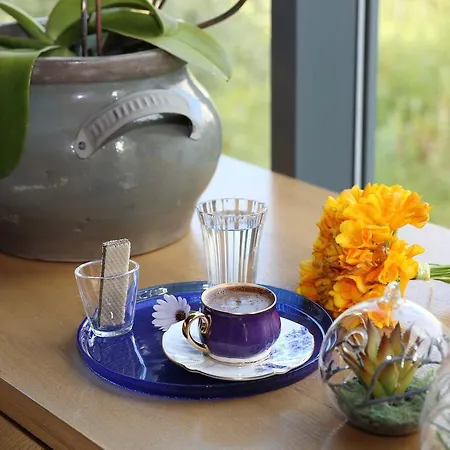 Hotel Eskiceshme Marina (adults Only) Bodrum