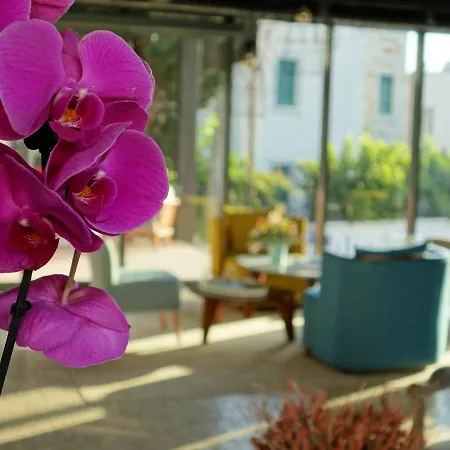 Eskiceshme Marina (adults Only) 2* Bodrum